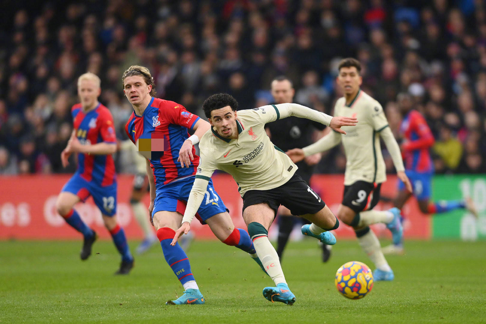 仅左右着密 仅左右着密